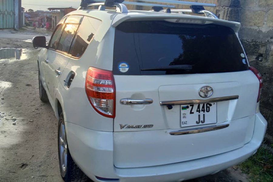 Suzuki Escudo (Skudo)